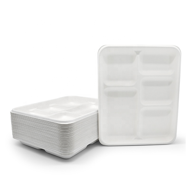 Biologisch abbaubares Zuckerrohr Bagasse Einweg-Krankenhaus schule 5-Fach-Lunch-Tablett