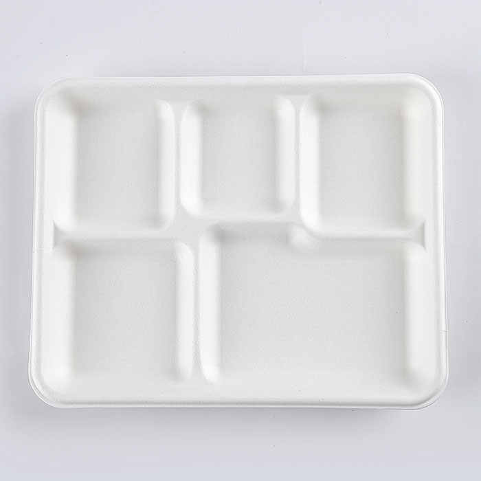 Großhandel Zuckerrohr-Bagasse-Verpackungsbehälter Bagaßen biologisch abbaubares Einweg-Zellstoff-Bahl