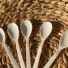 Customized Packing 100% Biodegradable PLA Ice Cream Spoon 