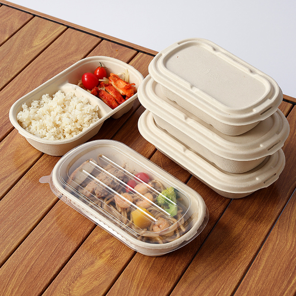 Einweg 750ml Rechteck Zuckerrohr 2-fach Lebensmittel behälter Biologisch abbaubare Bagasse-Lebensmittel box mit Deckel