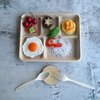 Manufacturer's Disposable 5-Compartment Sugarcane Bagasse Food Tray Well Made for Parties and Camping Safe for Refrigeration