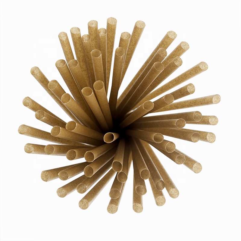 Zuckerrohr strohhalme Biologisch abbaubares kunststoff freies umwelt freundliches kompost ier bares Trink-Smoothie-Zuckerrohr-Bagasse-Stroh