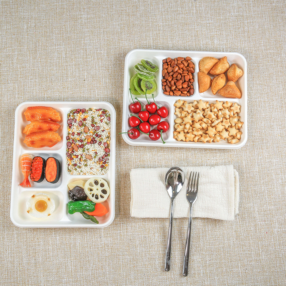 Cheap Wholesale Sugarcane Bagasse Food Trays Biodegradable 5 Compartment Deep Tray with Lid
