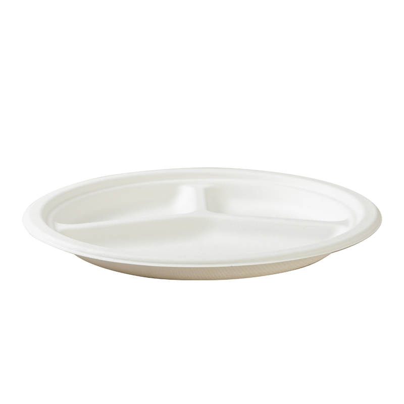 Food Degree Biodegradable Packaging Bagasse Pulp Plates