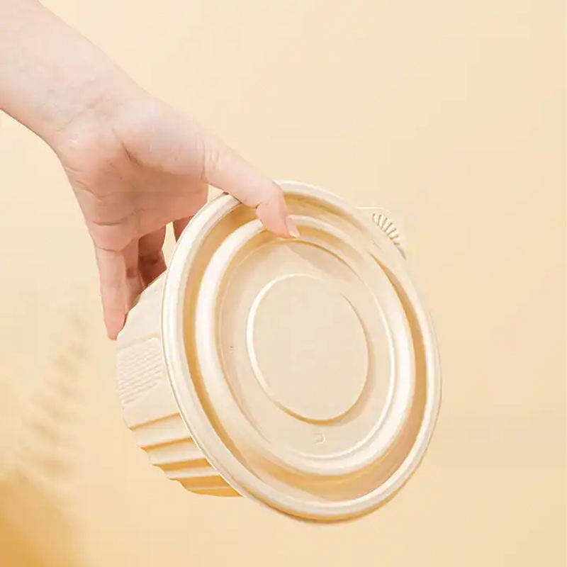 Certificated Biodegradable Plastic Box Food Container Usa Europe Standard Clamshell Takeaway Box 9*5 Inch Bento Conta
