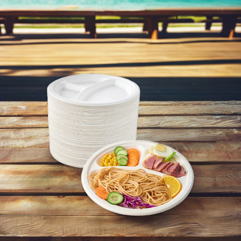  compostable Bagasse China Manufacturer's Cheap Disposable Wedding Dish round plate