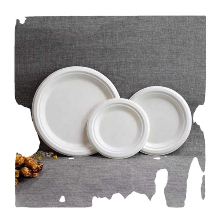 High Selling Disposable 10 Inch Round Baggasse Plate