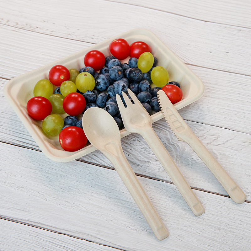 Hot Selling Eco-friendly Biodegradable Bagasse Cutlery Sugarcane Spoon Fork Knives With Huge Discount