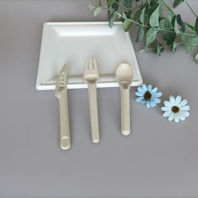 Eco-Friendly Biodegradable Disposable Cutlery for Snack Foods & Ice Cream Paper Pulp Knife Fork & Spoon Set for Camping