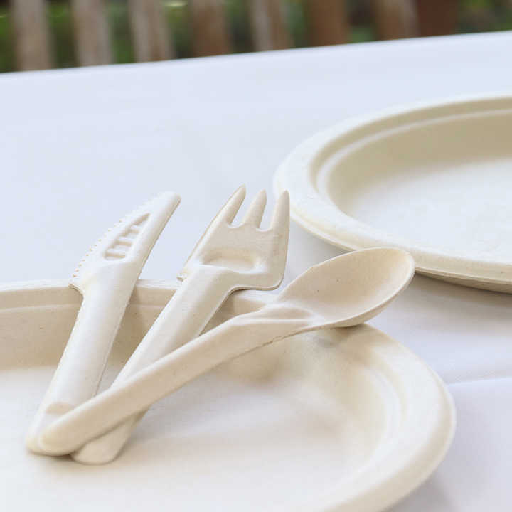 Custom Engraved Forks Disposable Biodegradable Compostable Eco Friendly Unbleached Sugarcane Forks