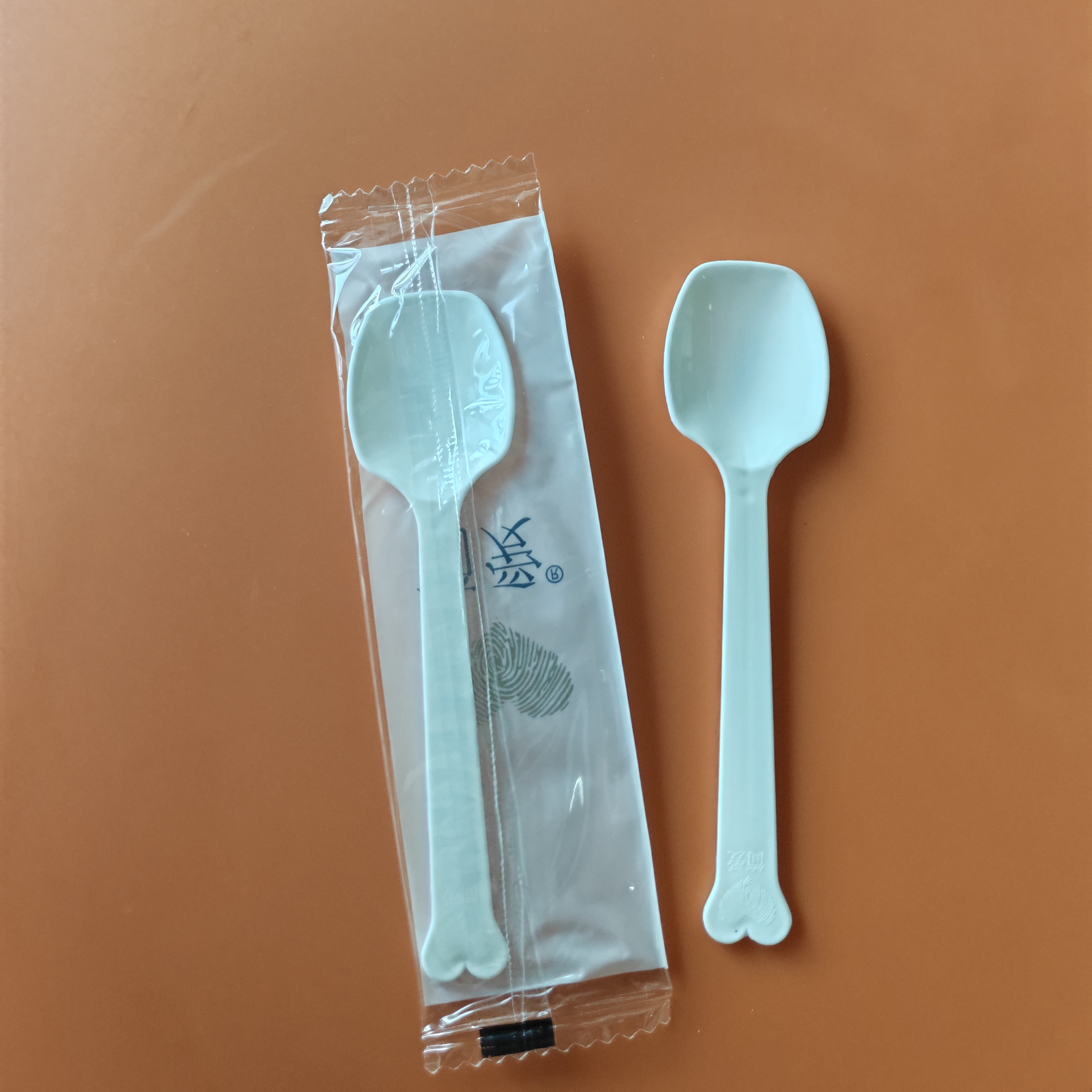 Transparent Biodegradable CPLA Disposable Cutlery Set for Outdoor Camping Compostable Tableware Including Fork Plastic Spoon