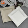 Compostable 10 Inch Bio Eco-friendly Disposable Tableware Degradable Square Bagasse Sugarcane Plate for Party Supplies