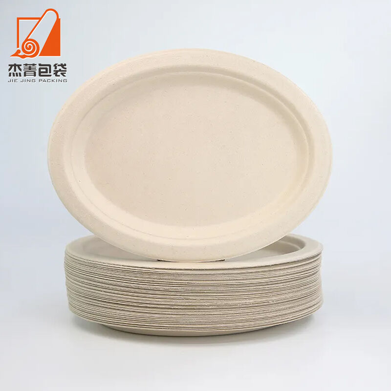 Biodegradable 10 Inches Microwavable Round Compostable Plate sugarcane bagasse paper plate for sale