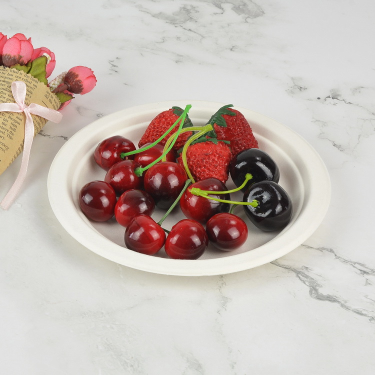 Round dinner plate Baggasse bowl and container