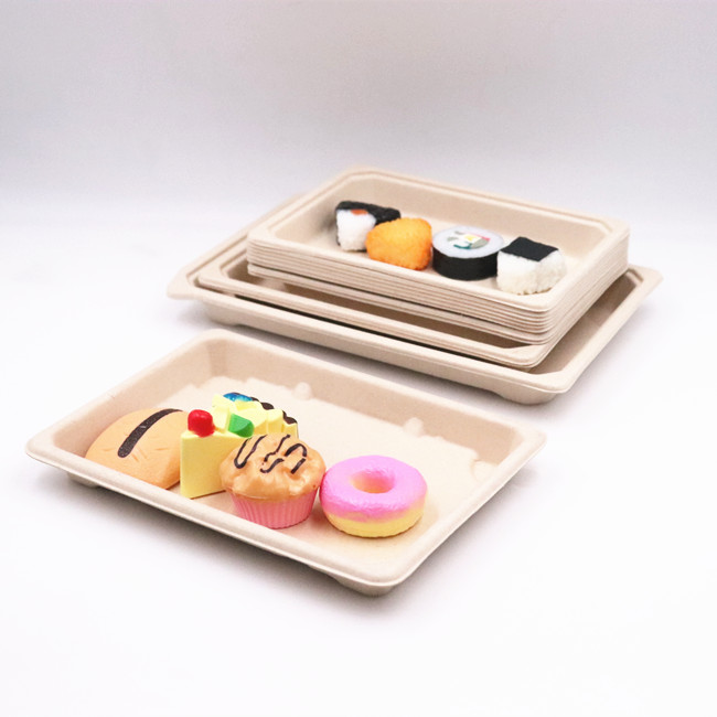 Biodegradable Disposable Compostable Takeaway Sugarcane Bagasse Tableware
