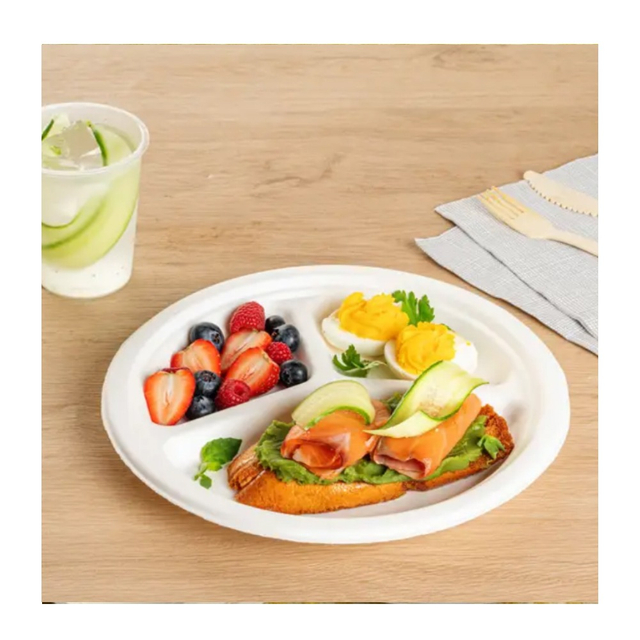 Custom Biodegradable Food Tray Sugarcane Bagasse Tableware 5 Compartment Trays Disposable Plates and Cups
