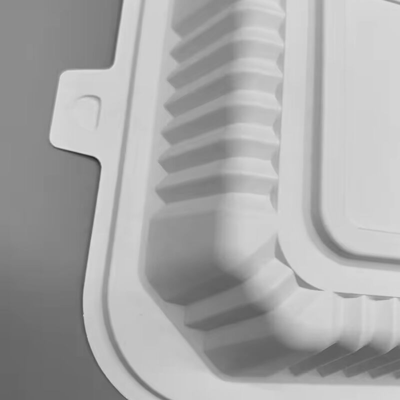 Factory directly sell Best Selling 6 inch clamshell biodegradable container takeaway box fast food packaging