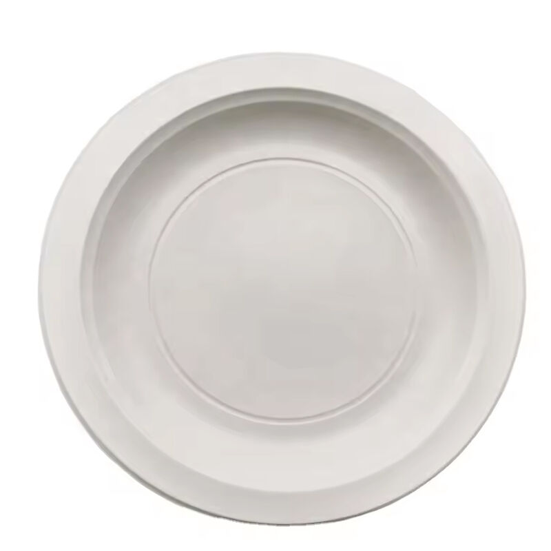 BBQ Party Events Wedding Disposable Tableware Food Plate Biodegradable Dinnerware Corn Starch Dinner Plate