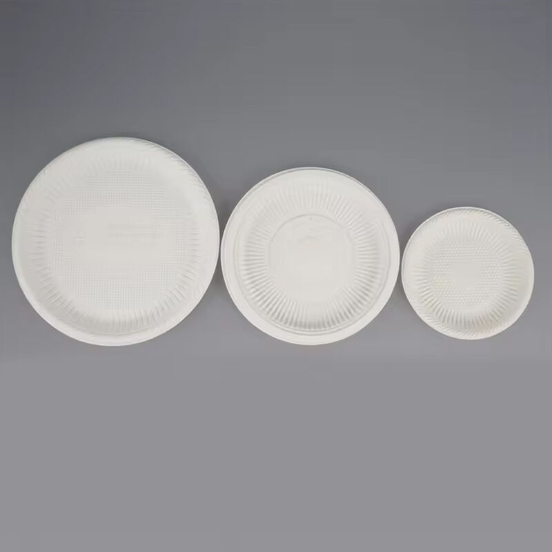 Disposable fruit dish Biodegradable corn starch food container Corn starch dish