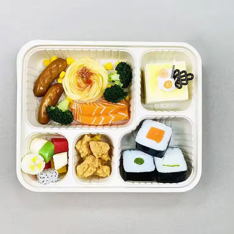 Rectangular Divided One Time Lunch Box 5 Compartment Corn Starch Disposable Degradable Meal Prep Lunch Box Food Container