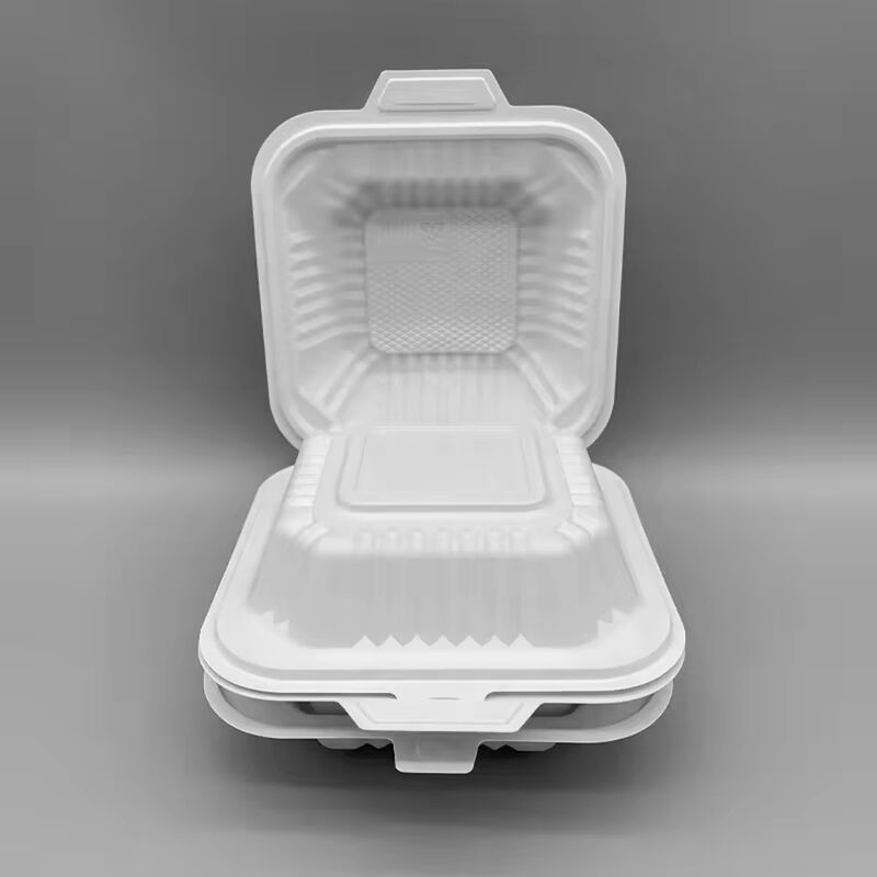 Wholesale 6 inch clamshell biodegradable container takeaway box fast food packaging