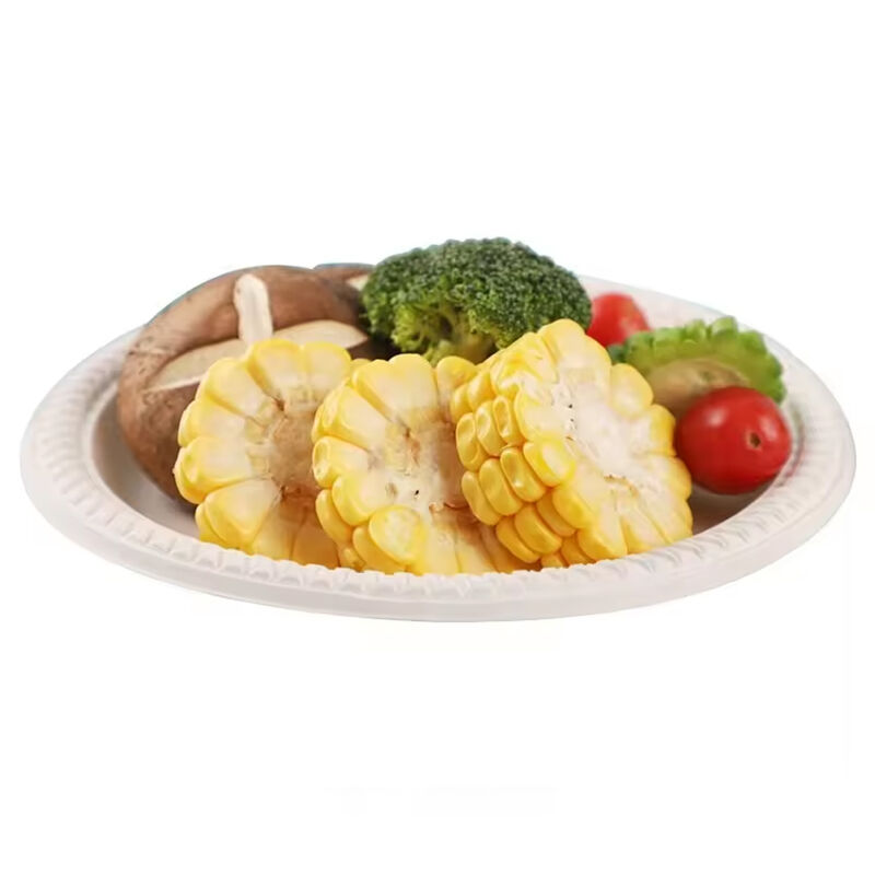 Custom LOGO 11 inch Disposable Plates for Parties Dishes Airline Tableware Dinnerware Sets