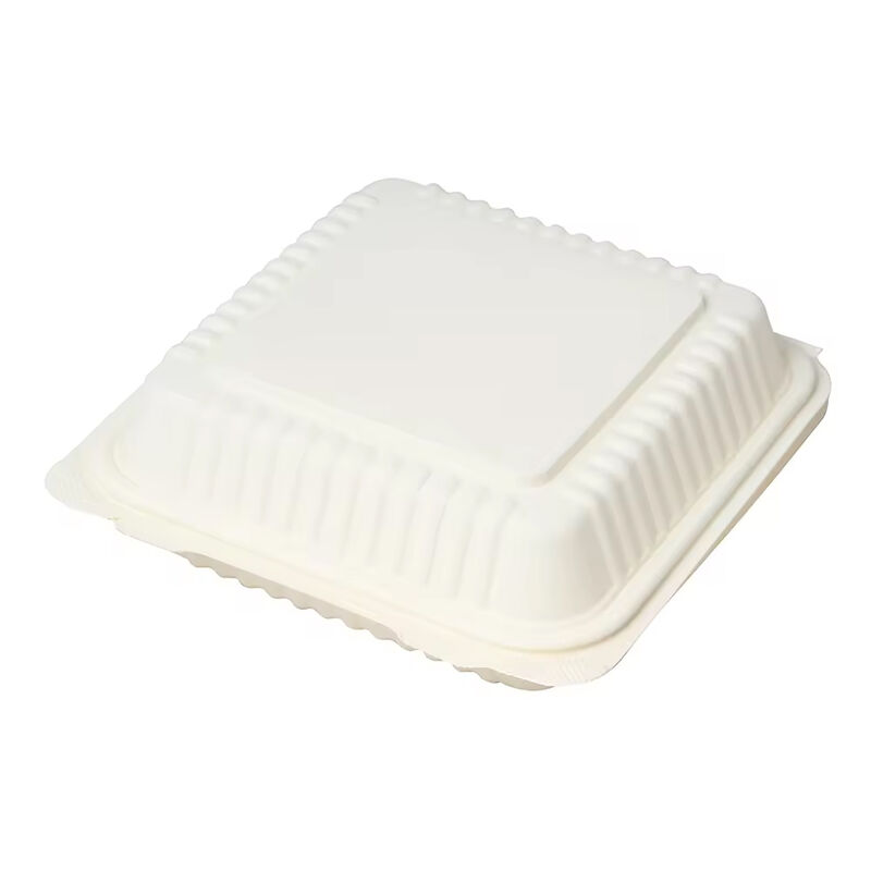 Biodegradable ecofriendly disposable tableware corn starch packaging food containers corn starch degradable meal boxes