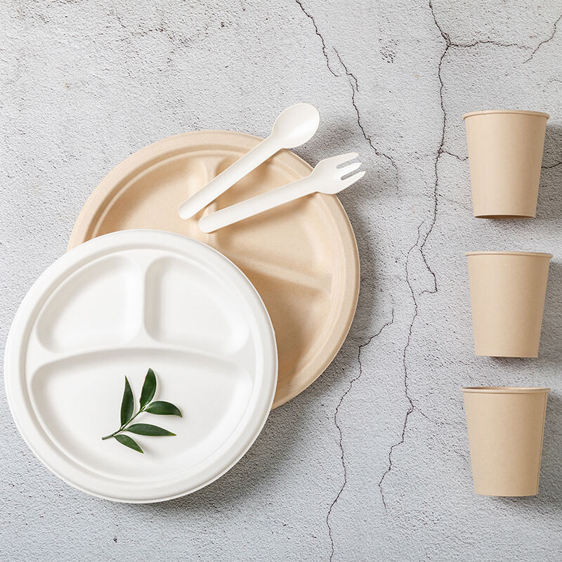 Disposable tray Eco-friendly restaurant Microwave dish Biodegradable paper plate