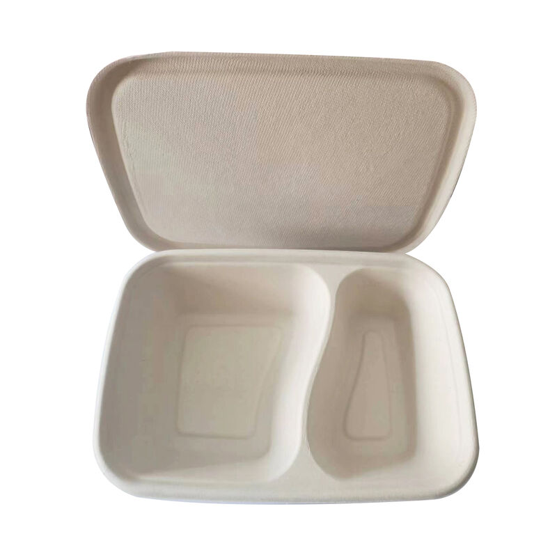 High quality Biodegradable rectangular style bagasse Sugarane meal box disposable bagasse pulp box for food
