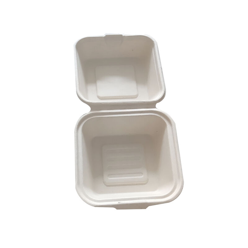 Factory sale Paper plate Clamshell burger box disposable eco-friendly paper tableware Disposable food containers