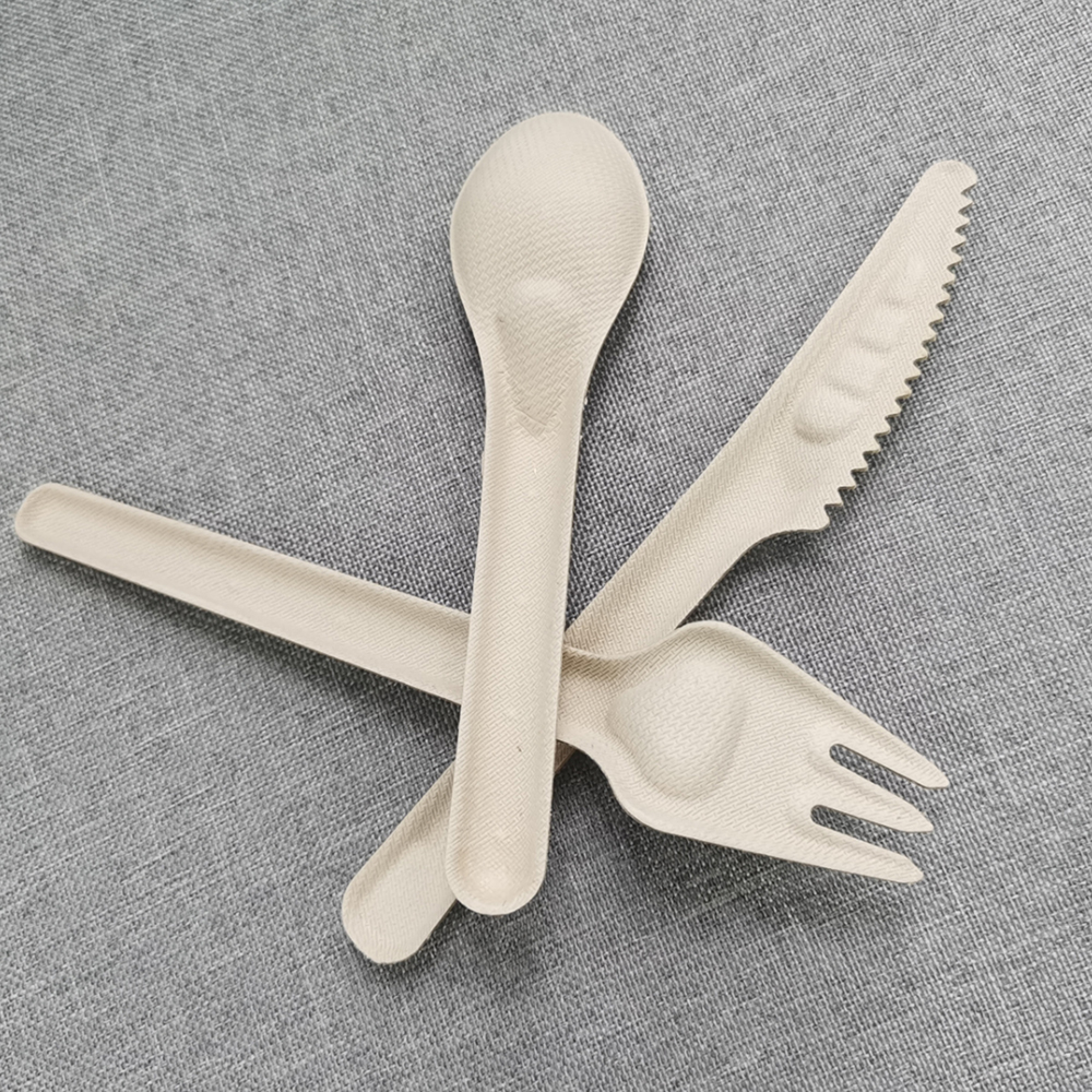Biologisch abbaubarer Einweg-Zuckerrohr pulpe Weißes essbares Besteck Bagasse Papier messer Gabel löffel