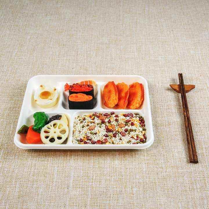 5 Compartment Rectangular Disposable and Compostable Dinnerware Sets Biodegradable Bagasse Food Platter Tray