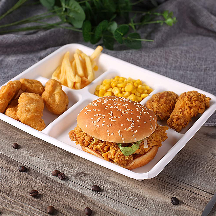 5 Fach Einweg Bagasse Tablett zum Mitnehmen Lebensmittel behälter Gemüse Mahlzeit Obst Sushi Bagasse Tablett