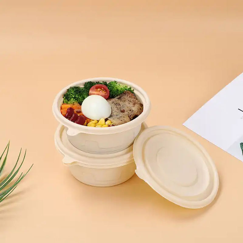 Certificated Biodegradable Plastic Box Food Container Usa Europe Standard Clamshell Takeaway Box 9*5 Inch Bento Conta