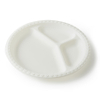 Biodegradable Disposable Travel Party Rectangular 9 10 Inch Cornstarch Plates for Food