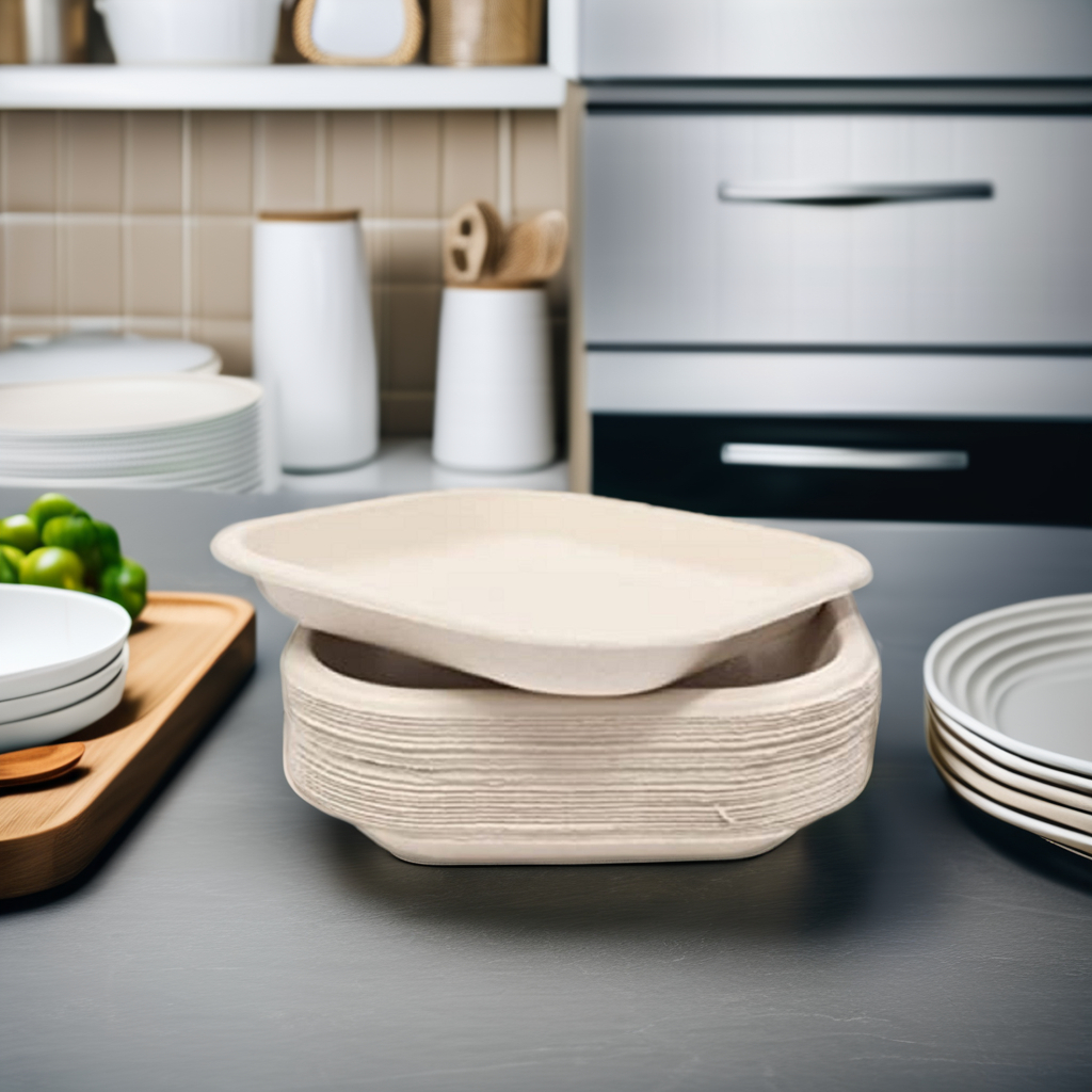 10inch Baggasse Plated Made From Sugarcane Pulp Export Quality Disposable Plates