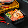 Wholesale Plastic Food Grade Container Bento Packaging Take Away Disposable square Lunch Box