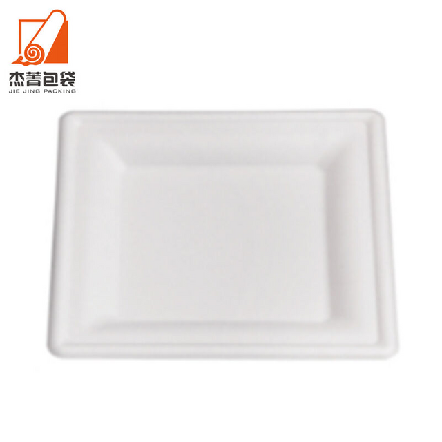 Compostable 10 Inch Bio Eco-friendly Disposable Tableware Degradable Square Bagasse Sugarcane Plate for Party Supplies