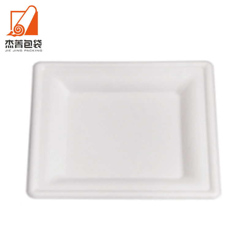 Compostable 10 Inch Bio Eco-friendly Disposable Tableware Degradable Square Bagasse Sugarcane Plate for Party Supplies