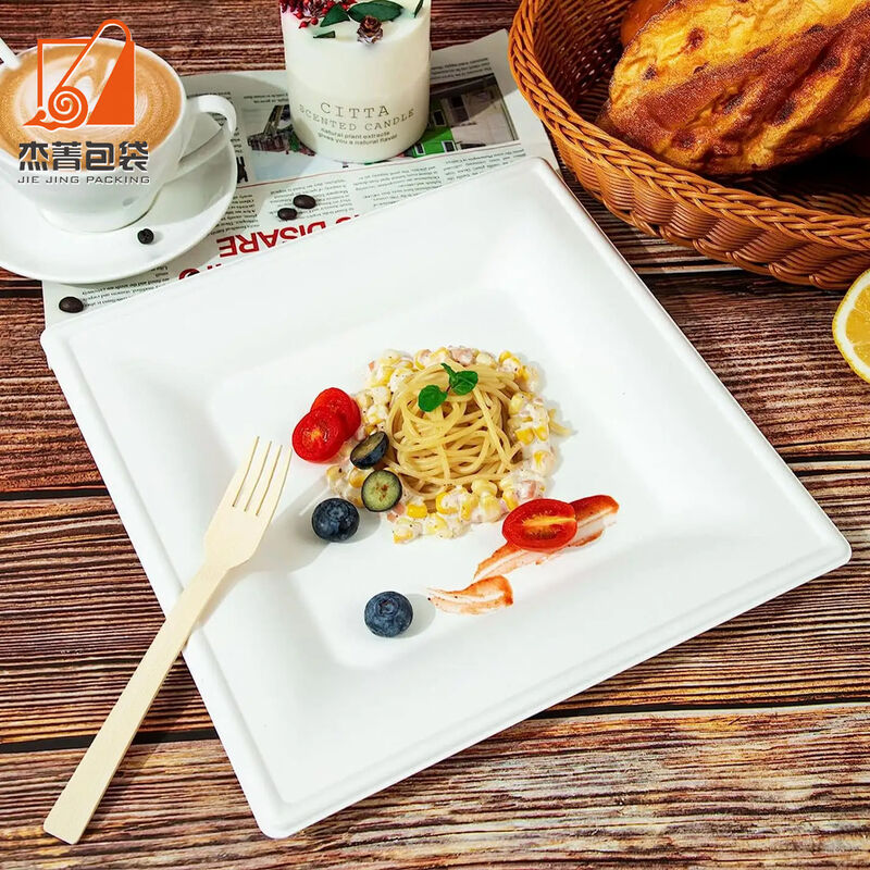 Compostable 10 Inch Bio Eco-friendly Disposable Tableware Degradable Square Bagasse Sugarcane Plate for Party Supplies