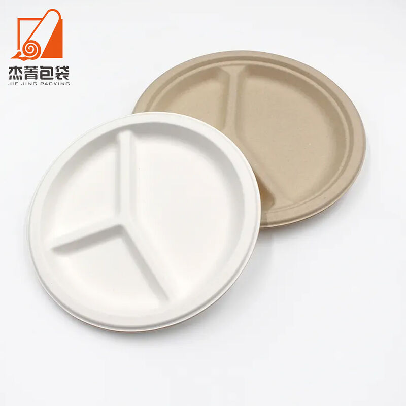 Biodegradable Disposable Sugarcane Bagasse Plate Compostable for Salad