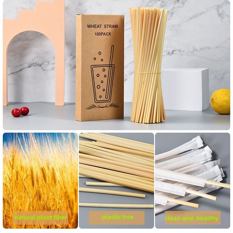 2024 high quality wholesale plastic free reed grass wheat straw for milk tea drinking