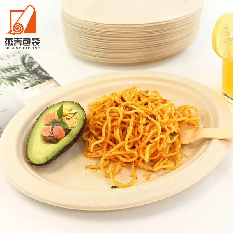 Biodegradable 10 Inches Microwavable Round Compostable Plate sugarcane bagasse paper plate for sale