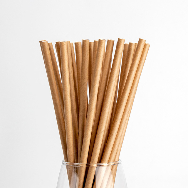 Paper Straw