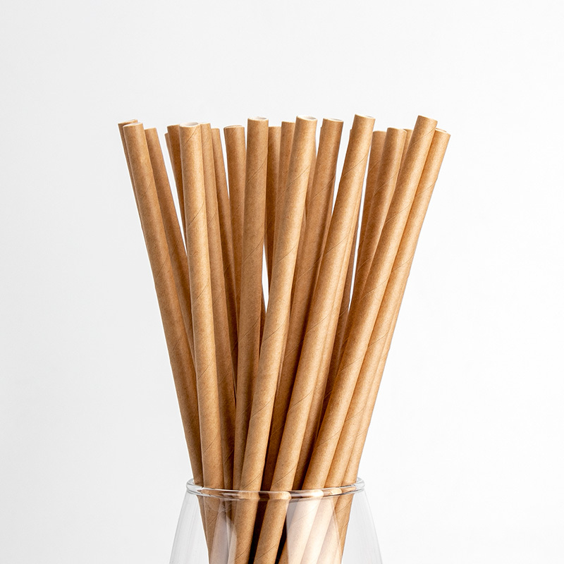 Paper Straw