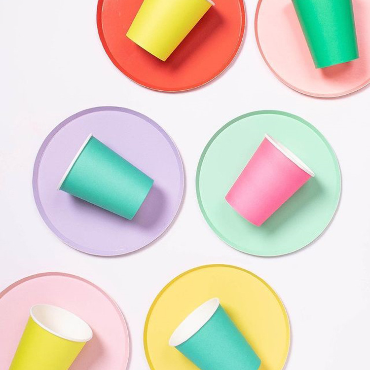 Paper Plate