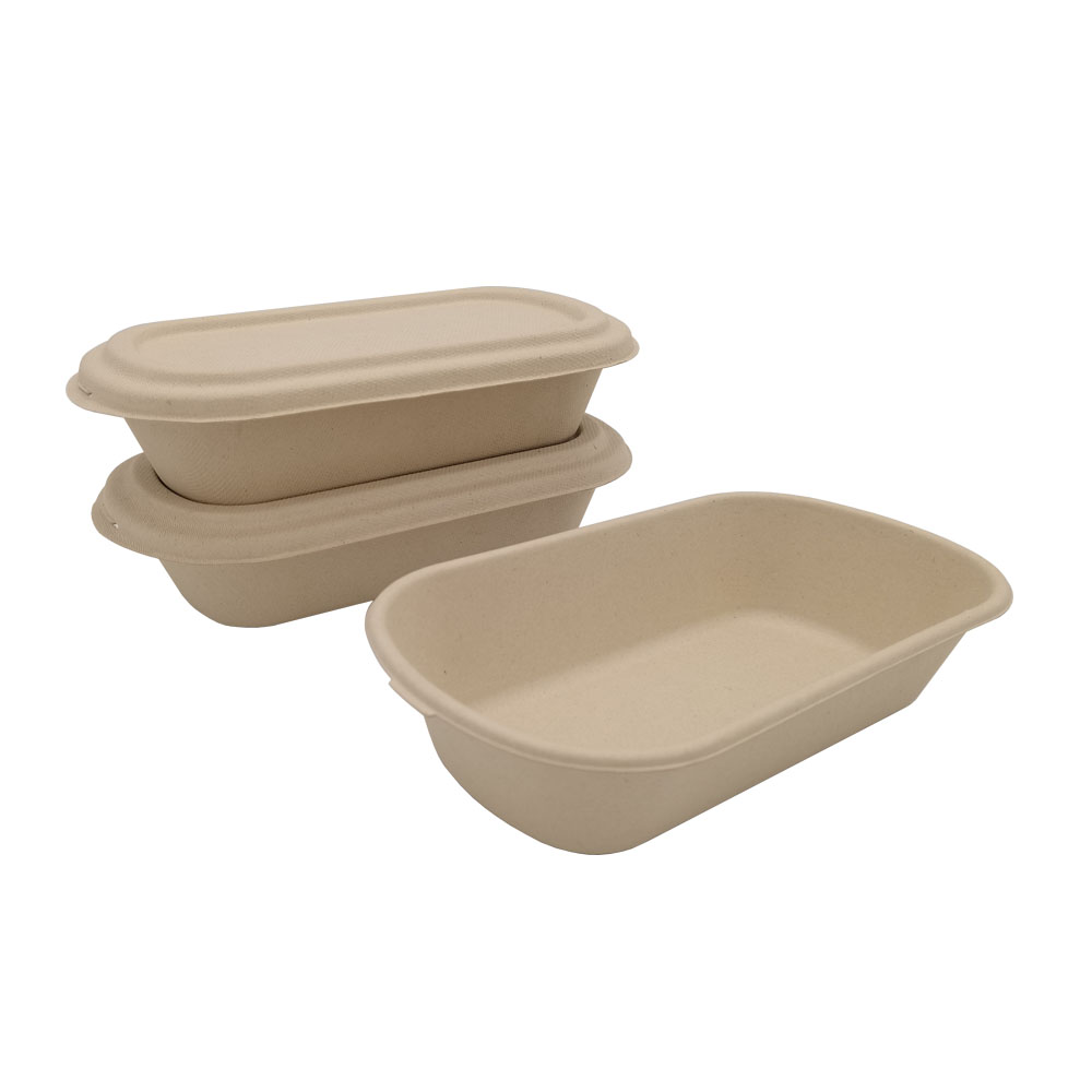 Disposable takeaway salad box Biodegradable lidded container