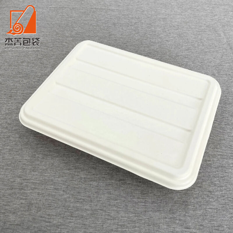 Sugarcane Disposable Degradable Paper Box Bagasse Takeaway Fast Food Container Salad Box