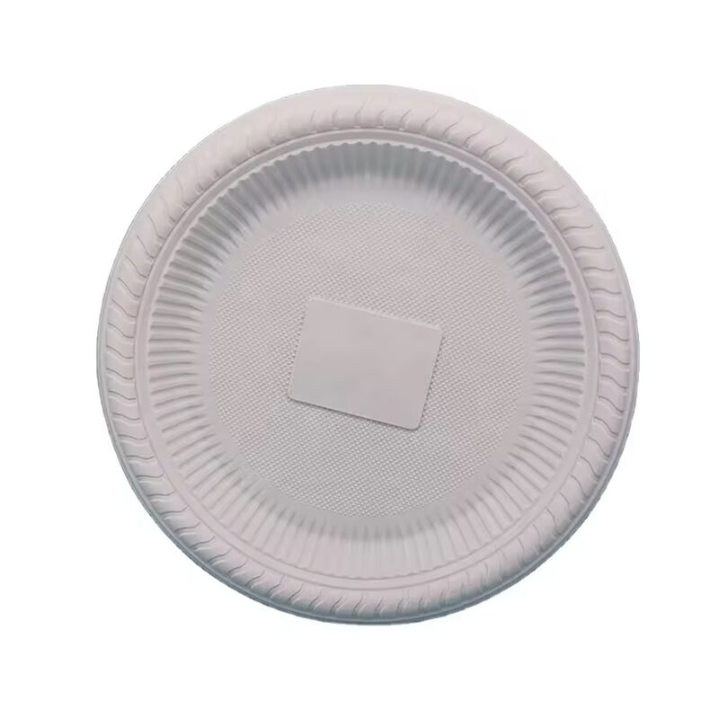 8 inch disposable dinnerware plate corn starch eco friendly single use white round plates disposable food serving plate