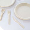 Compostable Disposable Sugarcane Bagasse Fiber Dinner Sets Bamboo Fiber Cutlery and Paper Forks for Weddings and Parties